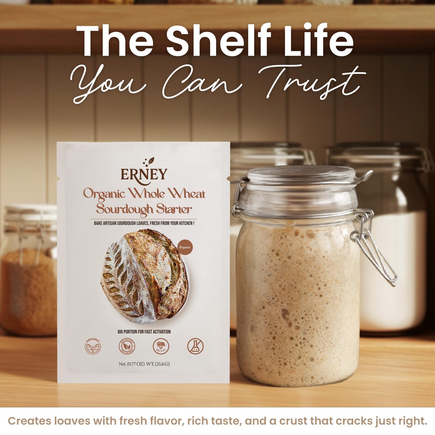 ERNEY Dehydrated Organic Whole Wheat Sourdough Starter for Bread Making - Perfect Rise Organic Whole Wheat Sourdough Bread Flour with Instruction - Versatile Homemade Pastry Flour Perfect for Artisan Loaf Pizza Muffins - 1 pack