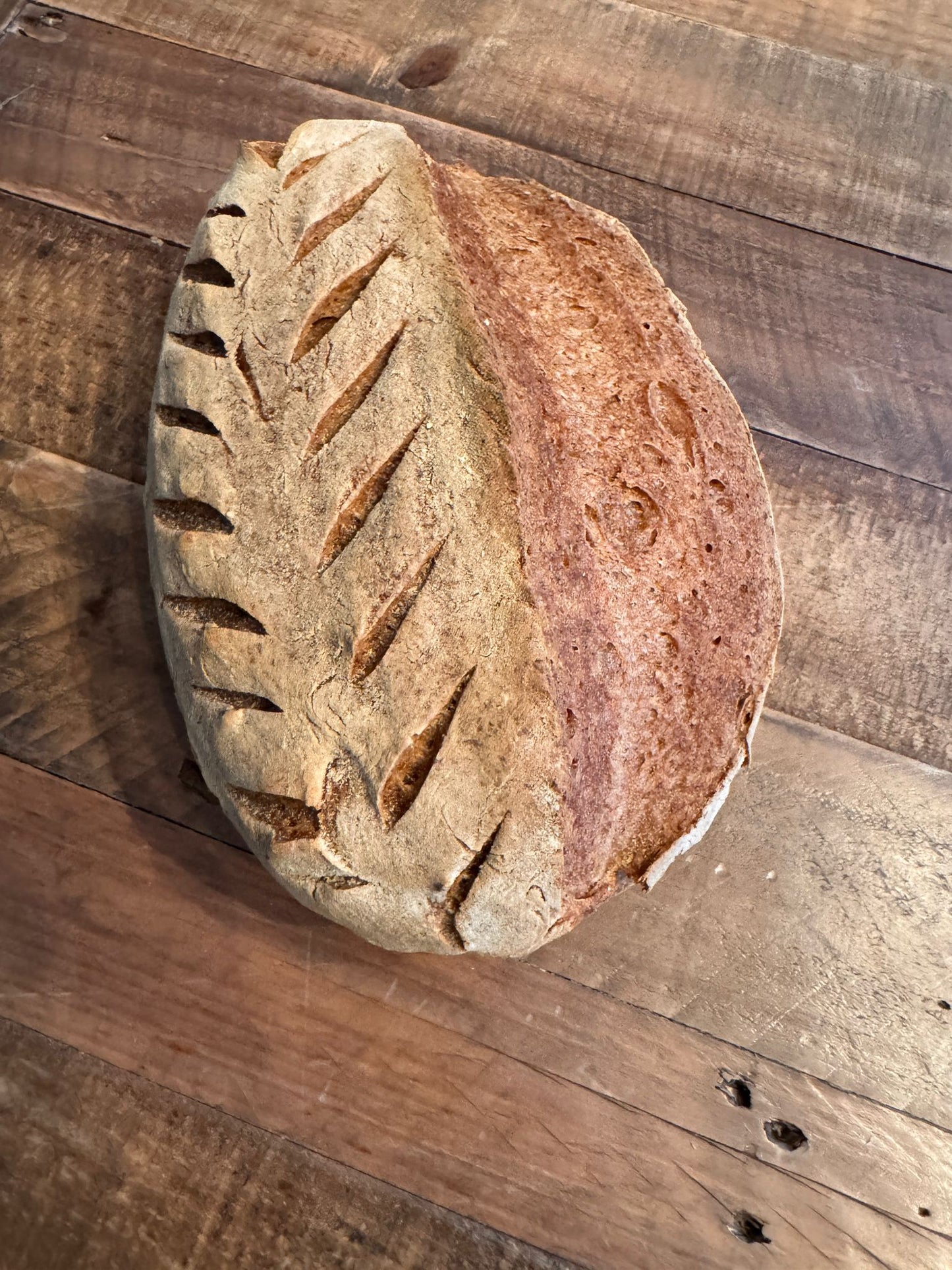 Gluten-Free Sourdough Bread – Authentic Flavor, Perfect Texture