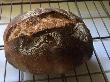 Whole Wheat Sourdough Bread